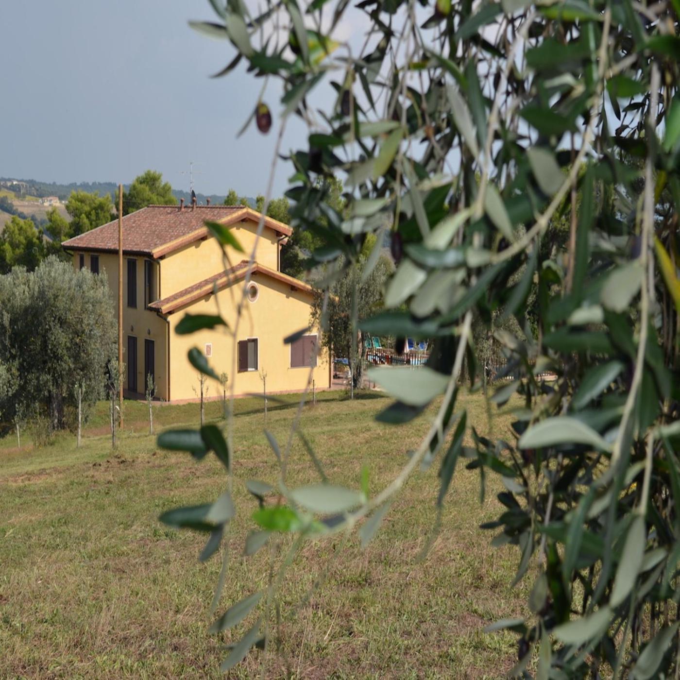 Agriturismo Fontelisa Villa Montiano  Exterior photo